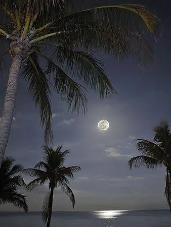 The Colors House, 226 - Private Lägenhet