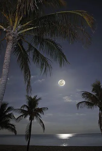 The Colors House, 226 - Private Appartement