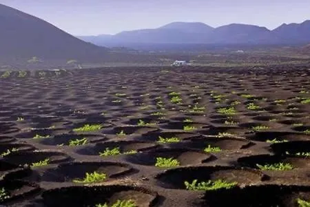 Appartement The Colors House, 226 - Private Costa Teguise