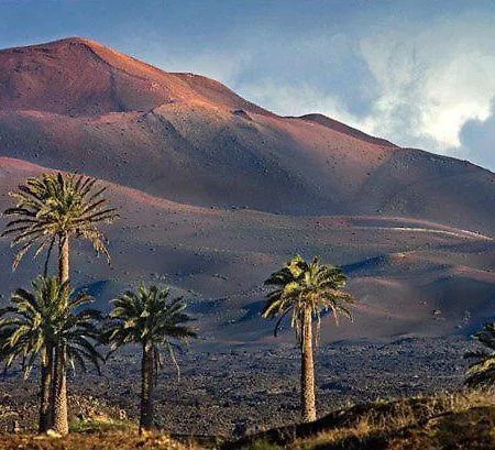 Апартаменты The Colors House, 226 - Private *