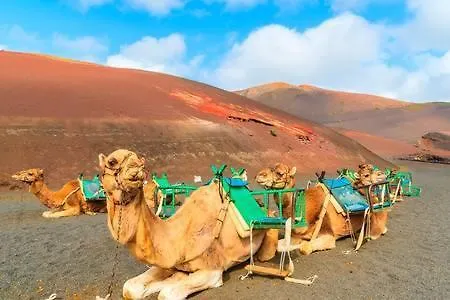 Apartmán The Colors House, 226 - Private *